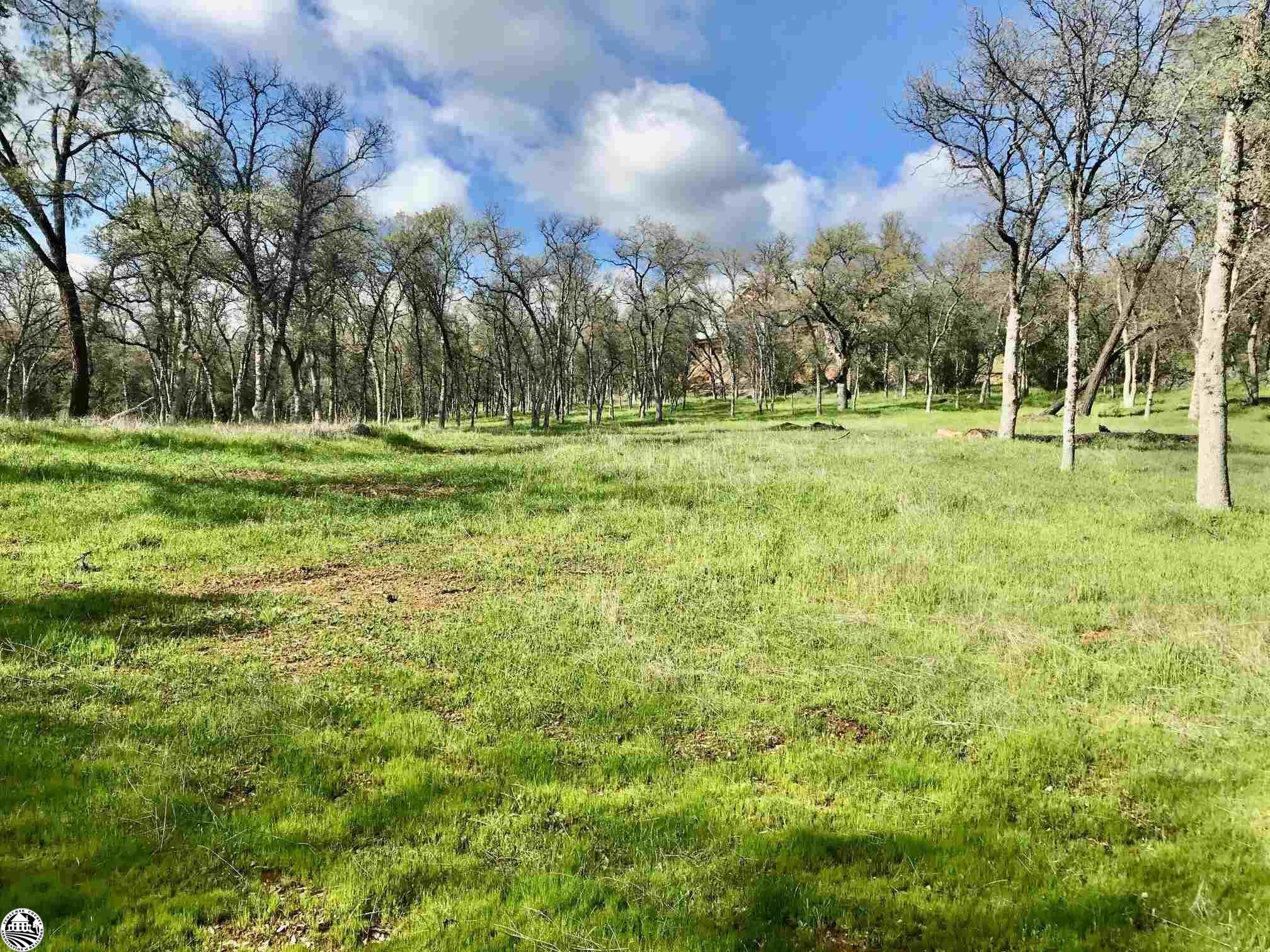 18340 Henry D Court, 20240274, Sonora, Acreage,  for sale, Judy Voigt, Wilson Realty